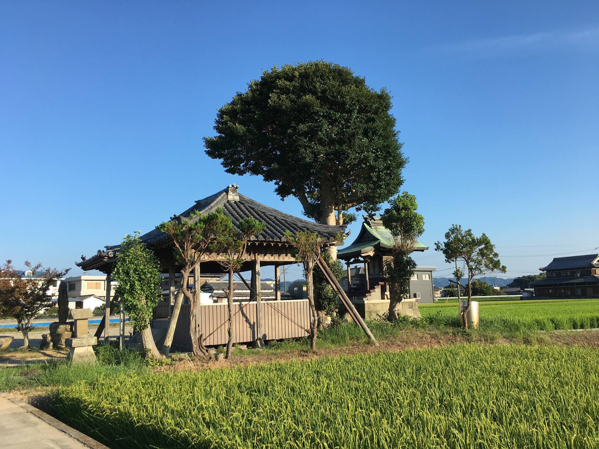 南あわじ市/倭文(しとり)神社 カイコローグ